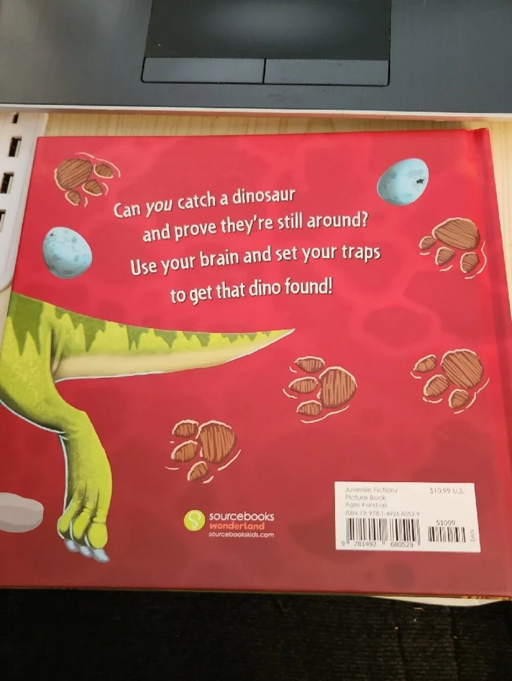 How to Catch a Dinosaur Book
